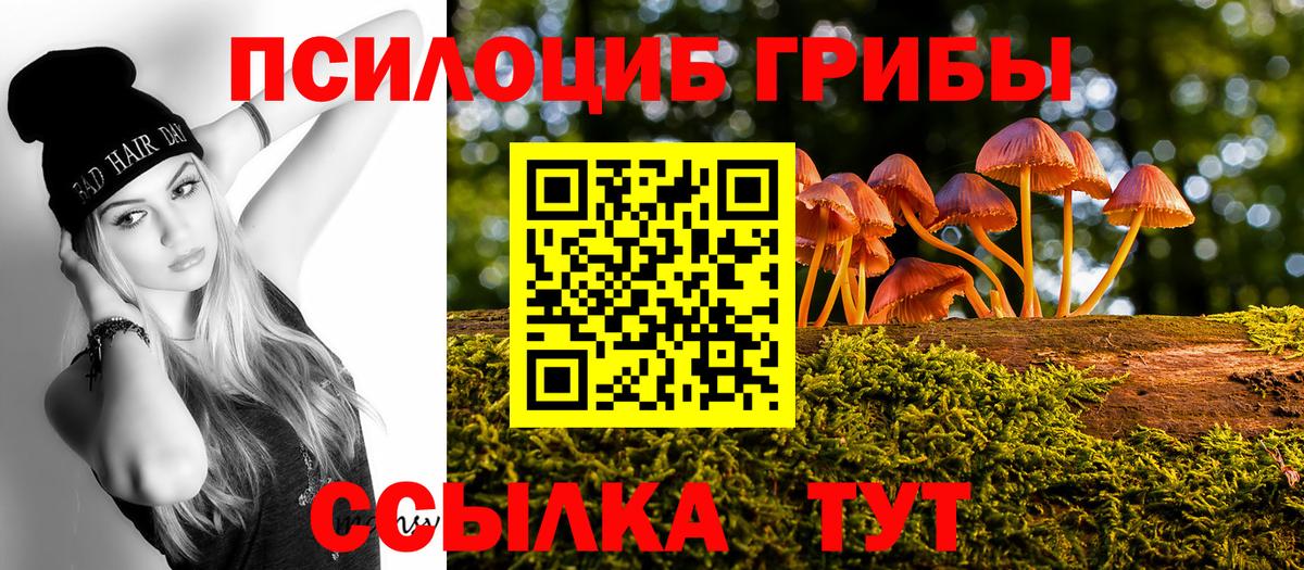 Псилоцибиновые грибы GOLDEN TEACHER  Вход с VPN  Новокубанск 