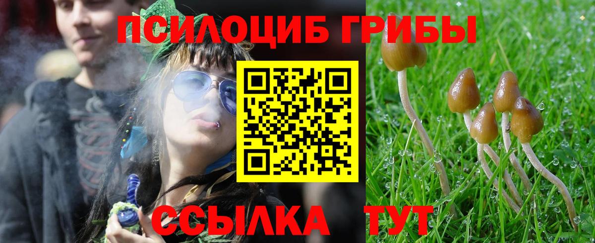 Псилоцибиновые грибы Magic Shrooms Новокубанск